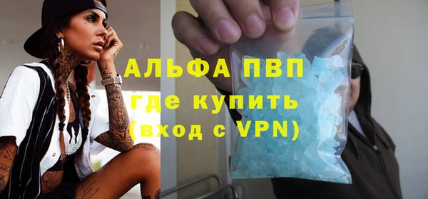 гидра Богородицк
