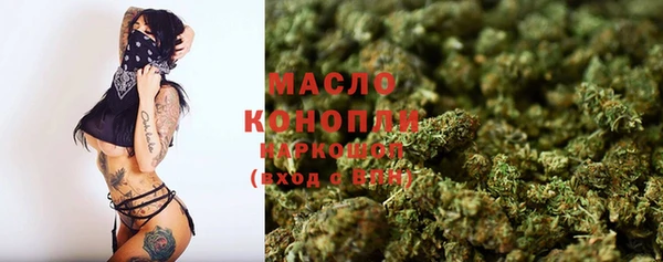 гидра Богородицк